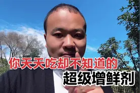 餐厅的秘密，超级增鲜剂，呈味核苷酸二钠，酵母抽提物，干贝素等视频封面