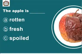 有趣的单词选择题视频封面