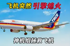 飞着飞着引擎竟然熄火了，机长“神操作”创造奇迹 空难纪录片视频封面