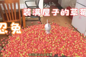 #忍兔 弄来了很多草莓#二次元#搞笑动画#儿童动画片#动漫