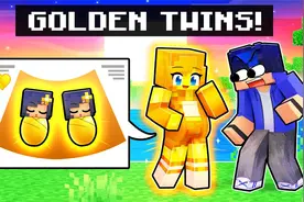 【Aphmau】我怀上了《我的世界》里的黄金双胞胎