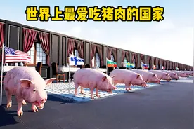 世界上最爱吃猪肉的国家，各国人均猪肉消费量排名