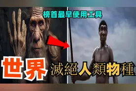 世界上十个灭绝人类物种，第六名又称霍比特人，榜首最早使用工具