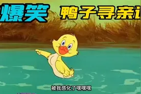 搞笑配音：小鸭子认错妈妈，汤姆猫可捡到大便宜了！视频封面