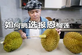 榴莲摊实战，手把手教大家如何挑选软糯香甜出肉率高的报恩榴莲视频封面