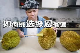榴莲摊实战，手把手教大家如何挑选软糯香甜出肉率高的报恩榴莲