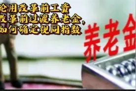 再论用改革前工资视同改革前过渡养老金，应如何确定视同指数视频封面