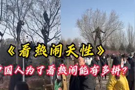 中国人为了看热闹能有多拼？刻在骨子里爱看热闹基因！视频封面