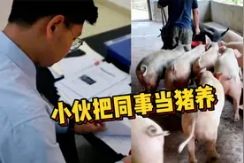 什么仇什么怨？小伙给同事喂母猪发情激素两年才被发现