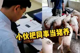 什么仇什么怨？小伙给同事喂母猪发情激素两年才被发现