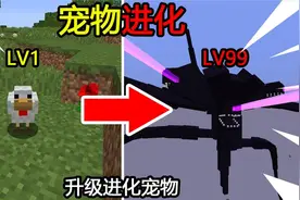 我的世界：宠物进化！每升3级进化一次！最后进化成凋零风暴！视频封面