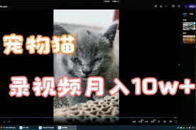 冷门的抖音细分赛道-宠物冷知识，，有人靠这个月入10w视频封面