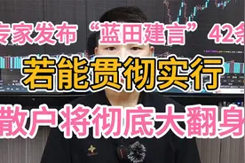 专家联合发布“蓝田建言”42条，若能贯彻实行，散户将彻底大翻身视频封面