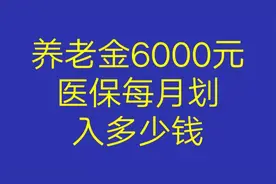 养老金6000元医保每月划入多少钱看看有没有你视频封面