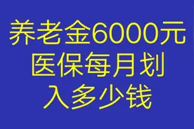 养老金6000元医保每月划入多少钱看看有没有你视频封面