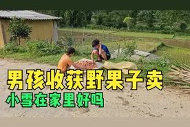 男孩又是自己上山，意外收获很多野果子到下山换钱视频封面