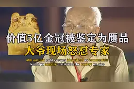 价值5亿金冠被专家鉴为赝品，大爷现场怒怼专家，最终结果如何？视频封面