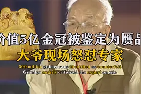 价值5亿金冠被专家鉴为赝品，大爷现场怒怼专家，最终结果如何？视频封面