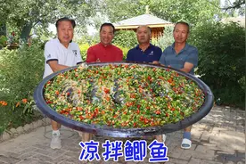 天热食叔想吃鱼，15条鲫鱼做成“凉拌鲫鱼”，麻辣鲜香，真过瘾视频封面