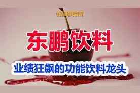 ROE高的令人发指，林园的最爱，社保也进场抢筹，业绩狂飙的龙头视频封面
