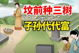 “坟前种三树，子孙代代富”，“三树”指什么？坟前适合栽哪些树视频封面