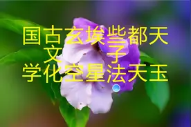 天地卦的阴阳按运，是奇数为阳偶数为阴视频封面