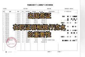 签证顺利过关，浅聊在职证明和银行流水的重要性视频封面