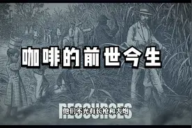 咖啡的历史由来视频封面