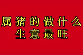 属猪的做什么生意最旺视频封面
