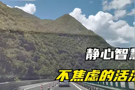 静心智慧：专心做好眼前的事（一）视频封面