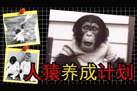 泯灭人性的实验，猿猴能成为公民？人猿养成计划！视频封面