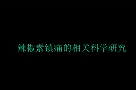 辣椒素镇痛的相关科学研究分享 您会明白为啥辣椒会有镇痛作用视频封面