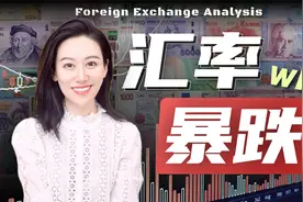 汇率波动的底层逻辑 | 美元跌宕50年视频封面