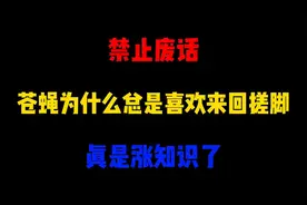 禁止废话:苍蝇为啥总是来回搓脚？涨知识了！视频封面