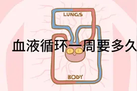 血液循环一周要多久视频封面