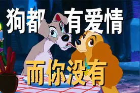我们羡慕的爱情，竟然来自两只小狗，这才是人和狗最好的相处方式视频封面