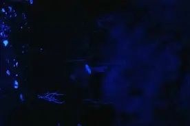 僵尸来了啊（户外探险英姐2023-11-26）视频封面