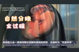 自然分娩，科普动画视频封面