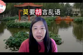莫要胡言乱语视频封面