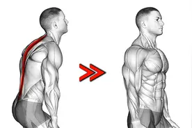 训练30天改变体态，提神气质