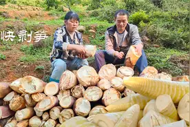 挖笋一时爽，剥笋剥到手抽筋，教你一方法200斤笋十多分钟就剥好视频封面