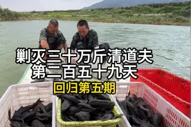 @抖音小助手 循序渐进，一步步蚕食清道夫的鱼窝，彻底剿灭清道夫