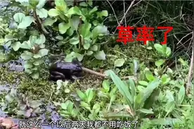 艰难的抉择视频封面