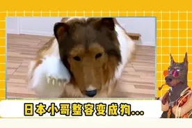 这难道是血脉觉醒？日本一男子将自己整容成狗！#奇闻异事 #整容视频封面