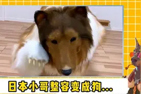 这难道是血脉觉醒？日本一男子将自己整容成狗！#奇闻异事 #整容视频封面