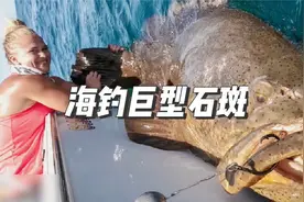 一身腱子肉的美女海钓二百斤巨型石斑，太刺激了#户外 #巨物视频封面