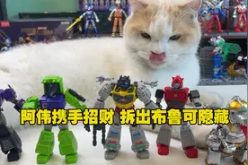 布鲁可最新款拆盒 阿伟欧气爆棚 拆出隐藏款