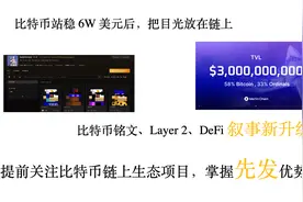 比特币60000美元后，链上生态，铭文、Layer2、DeFi 叙事新升级视频封面