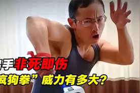 一出手非死即伤？1打11招招致命，“疯狗拳”威力有多大？视频封面