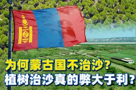 为何蒙古国不治沙？美国专家说植树治沙弊大于利，到底是真是假？视频封面
